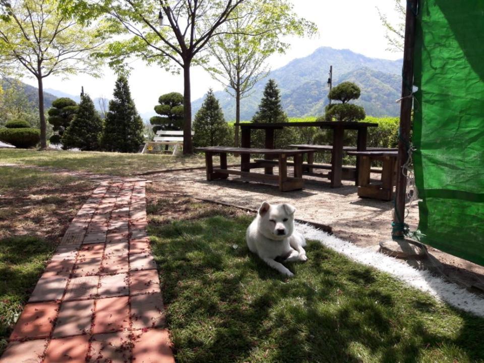 Chamjoeun Pension Chechon Екстер'єр фото