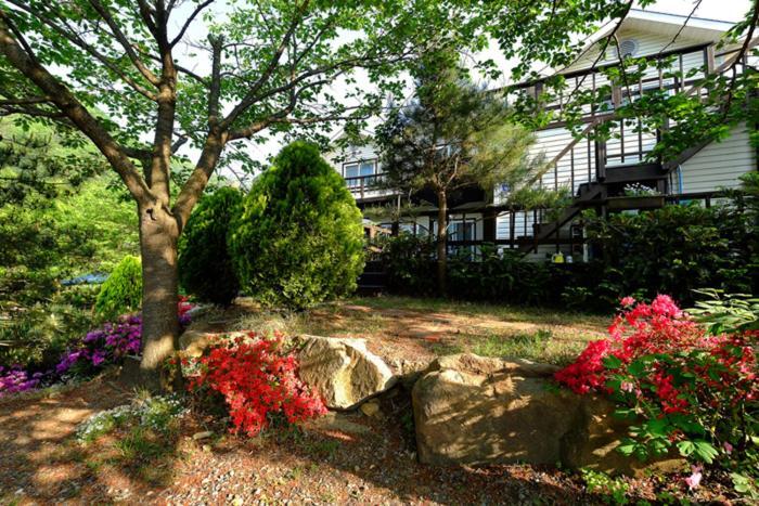 Chamjoeun Pension Chechon Екстер'єр фото