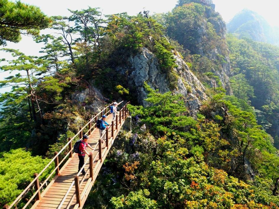 Chamjoeun Pension Chechon Екстер'єр фото